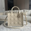 CD 디올 Dior Book Tote 북토트 스몰 백 Beige