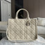 CD 디올 Dior Book Tote 북토트 미디엄 백 Beige
