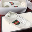 GC Men's/Women`s  Ace embroidered sneaker