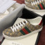 GC Men's/Women`s  Ace embroidered sneaker
